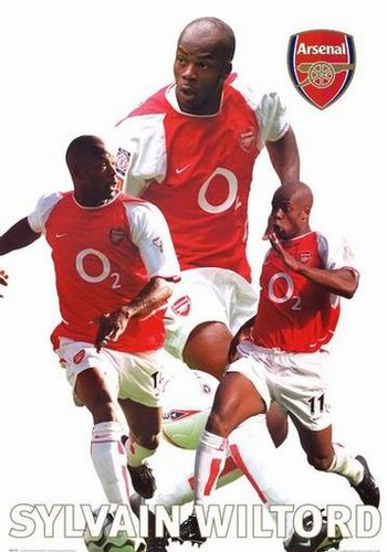 sylvain wiltord